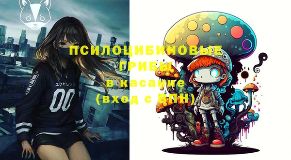 шишки Алексеевка