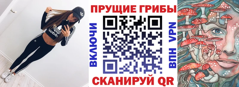 закладки  Фатеж  Псилоцибиновые грибы ЛСД 