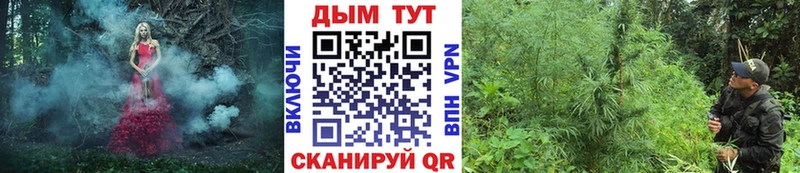 Канабис тримм  сайты даркнета наркотические препараты  Фатеж  блэк спрут ссылки 